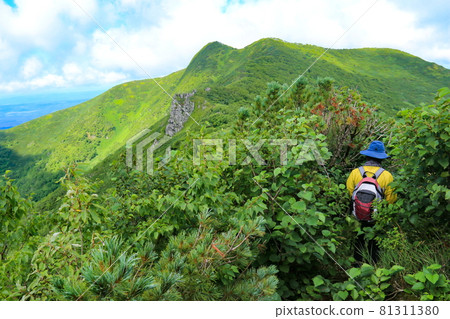 北海道夏季通向元山山頂的道路 81311380