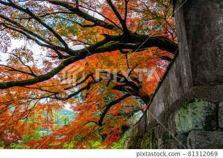Autumn in the ancient city of Akizuki Autumn in the ancient city of Akizuki 81312069