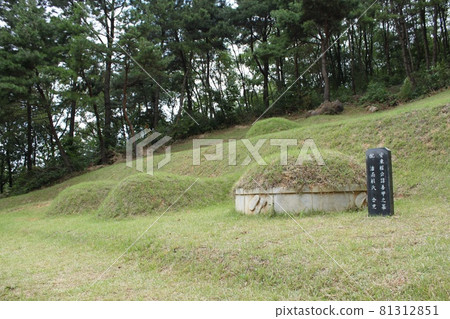 Daejeon Forest Park and Surroundings, South Korea 81312851