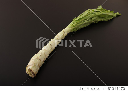 Stem lettuce (mountain lettuce, stem lettuce) 81313470