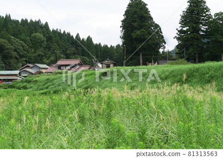 Nega谷斷層 Nega谷斷層 81313563