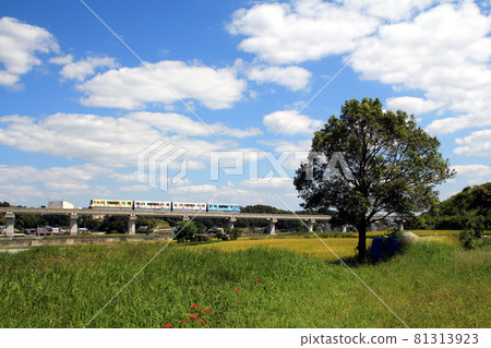 Blue sky, countryside and Osaka Monorail Blue sky, countryside and Osaka Monorail 81313923