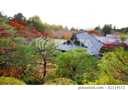 Famous place for autumn leaves, Hyakusaiji Temple, Koto Miyama, Shiga Prefecture Famous place for autumn leaves, Hyakusaiji Temple, Koto Miyama, Shiga Prefecture 81314572