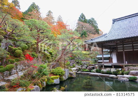 Famous place for autumn leaves, Hyakusaiji Temple, Koto Miyama, Shiga Prefecture Famous place for autumn leaves, Hyakusaiji Temple, Koto Miyama, Shiga Prefecture 81314575
