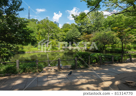 Arisugawa宮紀念公園 Arisugawa宮紀念公園 81314770