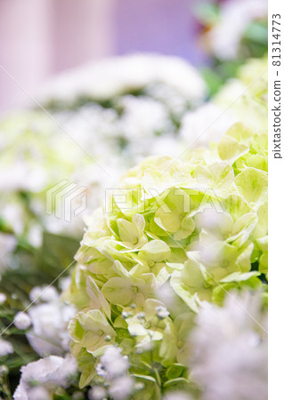 殯儀館花壇 殯儀館花壇 81314773