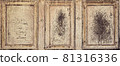 Banner from an old beige and rusty door with three scratched frames 81316336