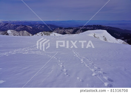 冬天伊吹山頂雪原的腳印 81316708