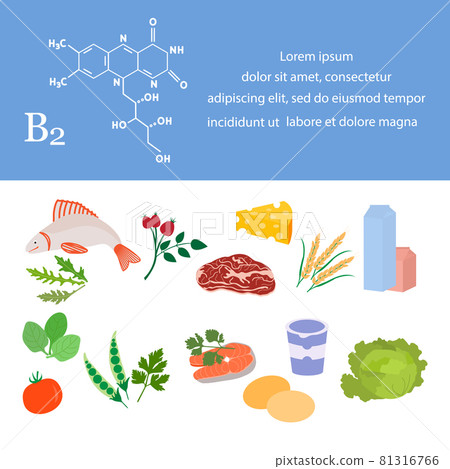 Healthy Food Proper Nutrition Vitamin B2 Organic Healthy Food Proper Nutrition Vitamin B2 Organic 81316766