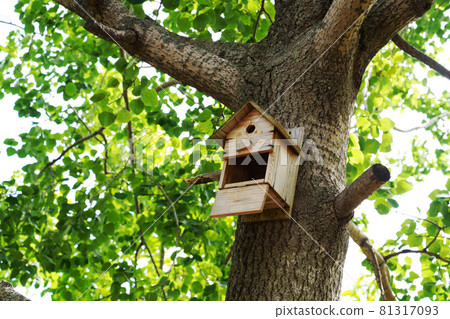 Forest hive box Forest hive box 81317093