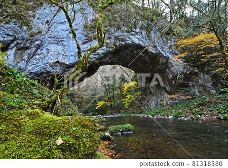 Taishaku峽谷（國立公園，風景名勝，中國山脈，廣島縣莊原市東條町-神關高原町） 81318580