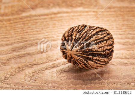 black walnut on wood black walnut on wood 81318692