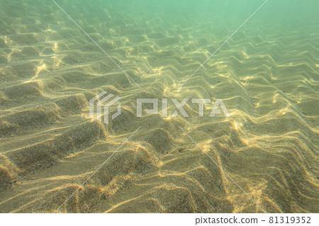 Underwater photo, sun shining on sea floor in shallow water, sand forming "dunes", abstract marine background Underwater photo, sun shining on sea floor in shallow water, sand forming "dunes", abstract marine background 81319352