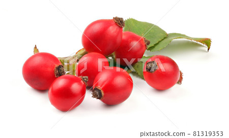 Rosehips (Rosa canina fruits) isolated on white background. Rosehips (Rosa canina fruits) isolated on white background. 81319353