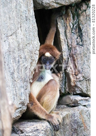 Before you look over here 81320228