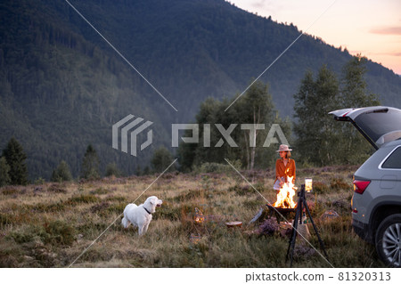 Woman and dog at picnic in the mountains Woman and dog at picnic in the mountains 81320313