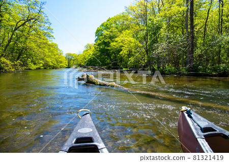 Kushiro River, Hokkaido A beautiful view of greenery seen from the headwaters of a canoe Kushiro River, Hokkaido A beautiful view of greenery seen from the headwaters of a canoe 81321419
