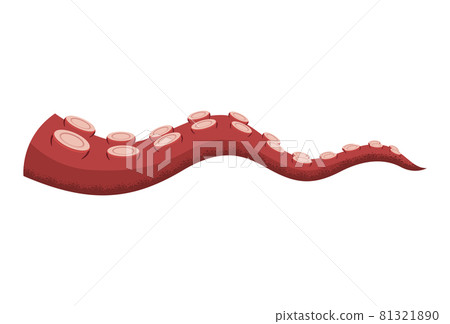 Octopus tentacle on white background. Sea squid - Stock