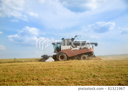 old tracktor plows the field. harvester harvests wheat from a sown agricultural field 81321967