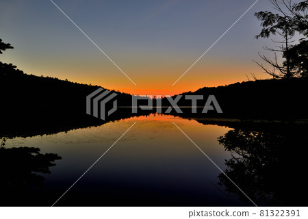 日本最高湖泊北八岳原始森林中的白駒池 81322391