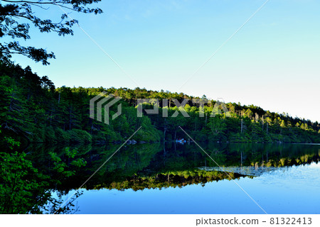 日本最高湖泊北八岳原始森林中的白駒池 81322413