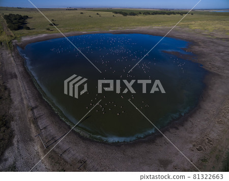 Pampas lagoon, aerial view 81322663