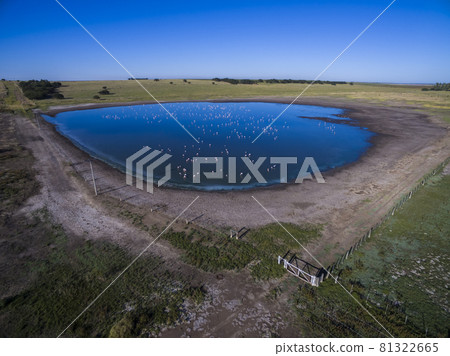 Pampas lagoon, aerial view 81322665
