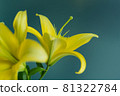 Image of a bouquet of yellow lilies 81322784