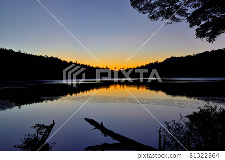日本最高的湖泊北八岳原始森林中的白駒池日出 81322864
