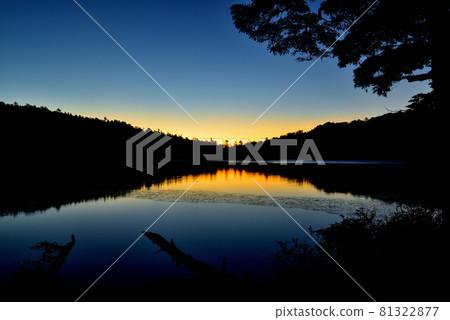 日本最高的湖泊北八岳原始森林中的白駒池日出 81322877