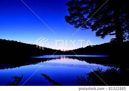 日本最高的湖泊北八岳原始森林中的白駒池日出 81322885