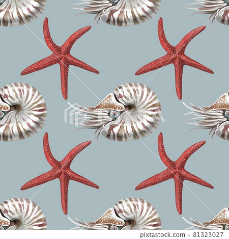 Nautilus mollusk Nautilus pompillius on a black-white striped background, hand drawn watercolor illustration. Seamless pattern. Nautilus mollusk Nautilus pompillius on a black-white striped background, hand drawn watercolor illustration. Seamless pattern. 81323027