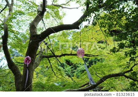 風鈴在綠色夏日風景的風中搖曳 81323615