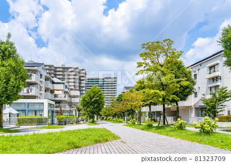 Residential area of Tama New Town blessed with nature 81323709