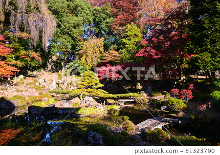 有紅葉的額仁寺庭園 有紅葉的額仁寺庭園 81323790