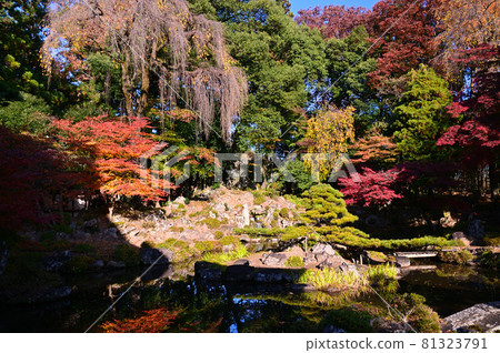 有紅葉的額仁寺庭園 有紅葉的額仁寺庭園 81323791