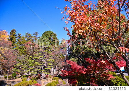 有紅葉的額仁寺庭園 有紅葉的額仁寺庭園 81323833