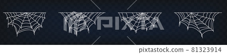 Set of spider web symbols, realistic spiderweb. 81323914
