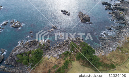 《青森縣八戶市》種西海岸 《青森縣八戶市》種西海岸 81324408