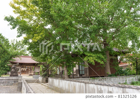 島根半島 42ura 18 Koura Tenmangu 島根半島 42ura 18 Koura Tenmangu 81325126
