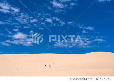 《Tottori Prefecture》 Tottori Sand Dunes / Summer sunny weather 81326260