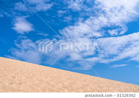 《Tottori Prefecture》 Tottori Sand Dunes / Summer sunny weather 81326302