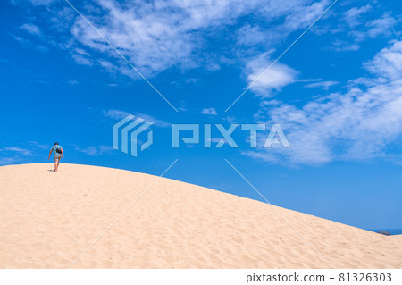 《Tottori Prefecture》 Tottori Sand Dunes / Summer sunny weather 81326303
