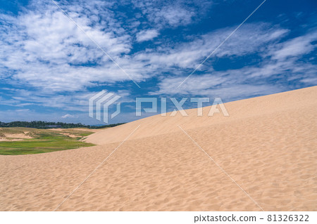《Tottori Prefecture》 Tottori Sand Dunes / Summer sunny weather 81326322