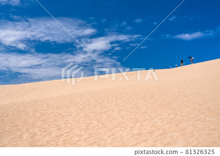 《Tottori Prefecture》 Tottori Sand Dunes / Summer sunny weather 《Tottori Prefecture》 Tottori Sand Dunes / Summer sunny weather 81326325