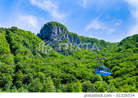 北海道上川町夏季層雲峽 北海道上川町夏季層雲峽 81326554