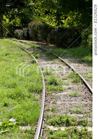 Railroads, railroads, trains, rails, greenery, nature, outdoors, weeds, grass Railroads, railroads, trains, rails, greenery, nature, outdoors, weeds, grass 81326829