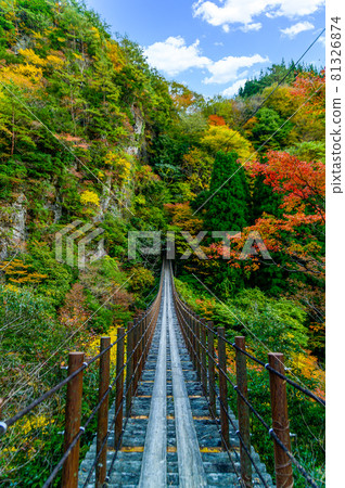 Momigi Suspension Bridge "Ayatori Bridge scenery against the backdrop of sunny autumn, unexplored mountain range autumn leaves scenery" Japan 2020 (Autumn) 81326874