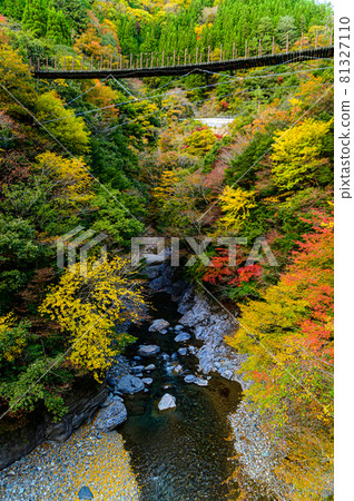 Momigi Suspension Bridge "Autumn Sunny, Unexplored Mountains Autumn Leaves / Ayatori Bridge" Photographed in Japan 2020 (Autumn) 81327110