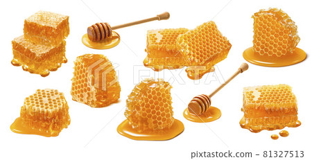 Honeycomb set isolated on white background. Wooden honey dippers 81327513